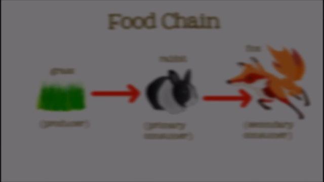 Food Chains for Kids: Food Webs, the Circle of Life, and the Flow of Energy - FreeSchool смотреть онлайн