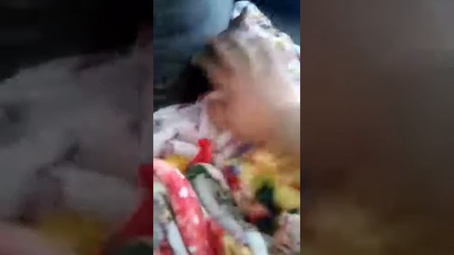 Жирный лысый Кот =) смотреть онлайн