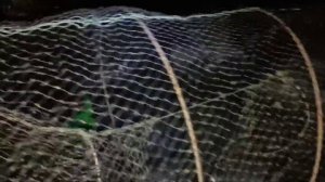 Как ставить мордушку зимой. Ловля ротана на мордушку