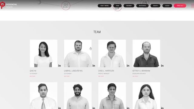 ICO Phenomenal обзор проекта смотреть онлайн