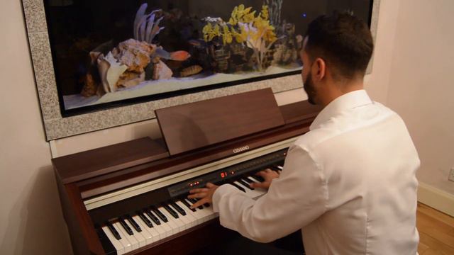 Ludovico Einaudi - Experience (Alex Demetriou Piano Cover) смотреть онлайн