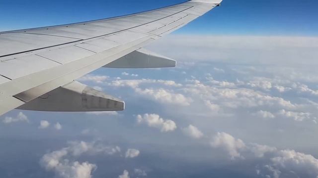 Как зарегистрироваться на рейс и получить посадочный талон смотреть онлайн