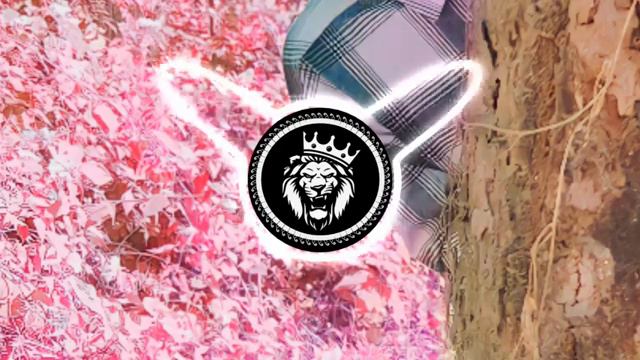 song dj mixer 😍🆓 Bhojpuri gana DJ full HD смотреть онлайн