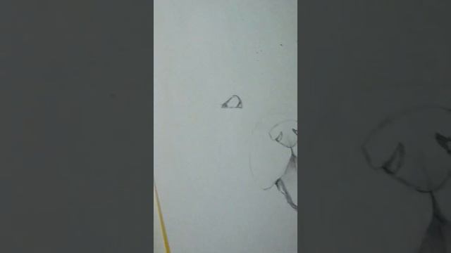 Рисуем щенка лабрадора поэтапно (часть первая ( смотреть онлайн