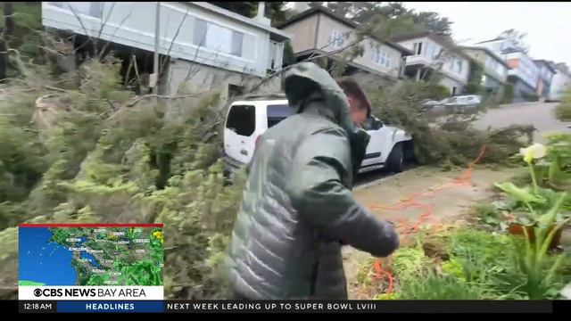 San Francisco Crews Receive Over 200 Calls For Fallen Trees During Storm
