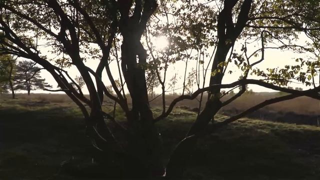 Мать выгоняет дочь из её собственной квартиры, но жизнь такую подлость не прощает никому! смотреть онлайн