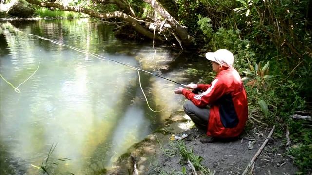 Пляжи Рыбалка Юг Крита.Lake Kournas. Fishing south of Crete. Goldfish Crete tours смотреть онлайн