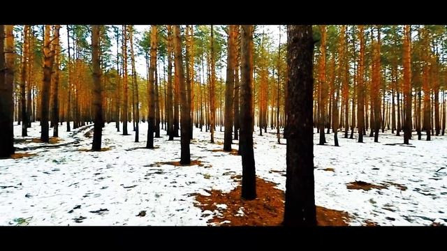 Лес смотреть онлайн