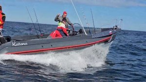 Риб Фортис «Катана 740» плавность хода