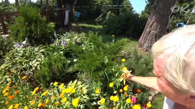 У мамы на даче. Наша баня, мамин огород, душ впечатлений, мои школьные и студенческие работы смотреть онлайн