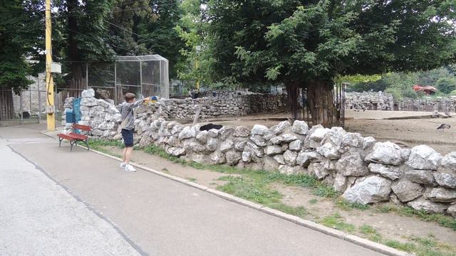 Follow me ostrich - забавный страус в белградском зоопарке смотреть онлайн