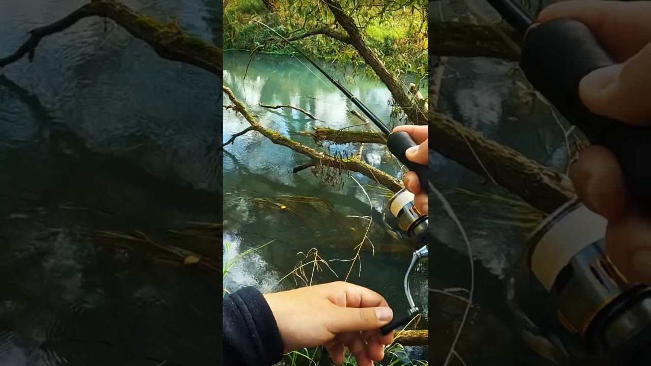 Тысячу лет таких не ловил #рыбалка #микроджиг #окунь #fishing #shorts #ультралайт #наноджиг #джиг смотреть онлайн