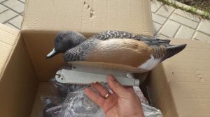 Чучела уток , свиязь ghg avery