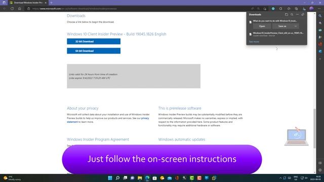 How To DOWNLOAD Windows 10 Version 22H2 (Build 19045) IMAGE NOW!