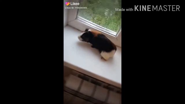 Я ничего не знаю смотреть онлайн