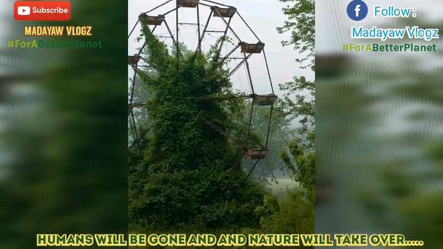 Humans will be Gone and Nature will take Over смотреть онлайн