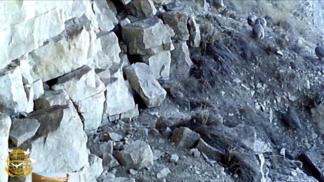 Разнообразная природа Туркменистана