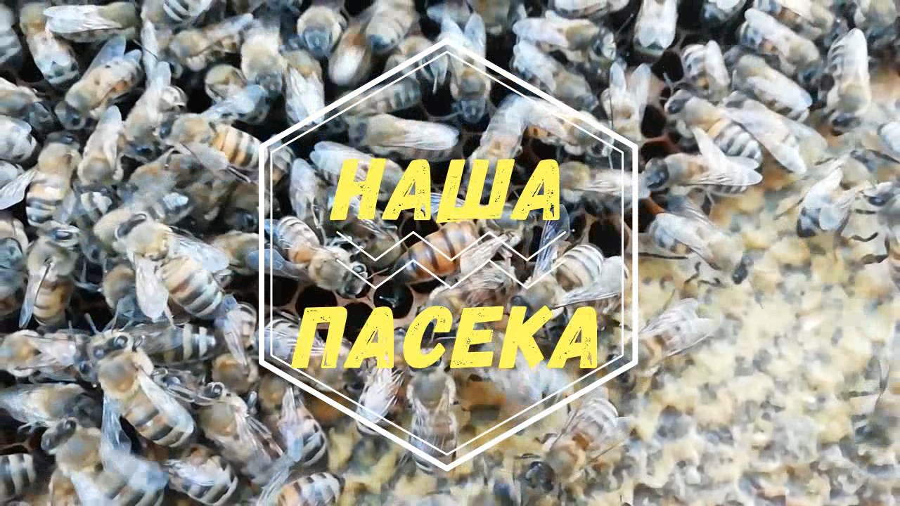 9 марта, есть проблемные семьи..mp4 смотреть онлайн