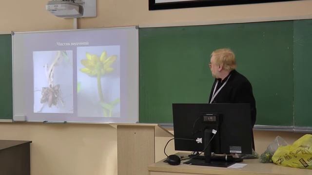 Морфология и систематика растений, 9 класс edit смотреть онлайн