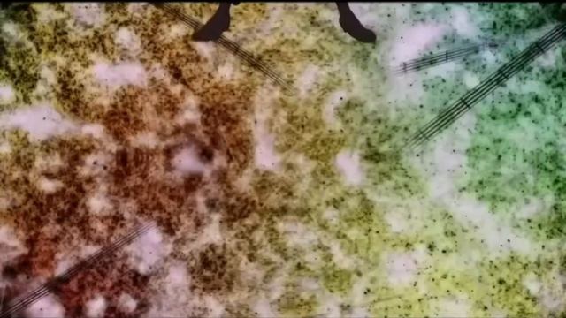 Red haired pirates and straw hats vs tot musica but better смотреть онлайн