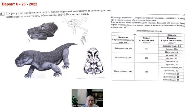 Задачи на эры и периоды. Линия 23 с рисунками ЕГЭ 2022 смотреть онлайн