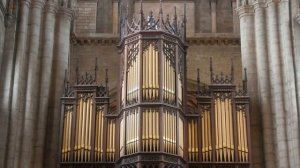 Джоаккино Россини. Увертюра к опере «Вильгельм Телль». Орган - Джонатан Скотт (Jonathan Scott).