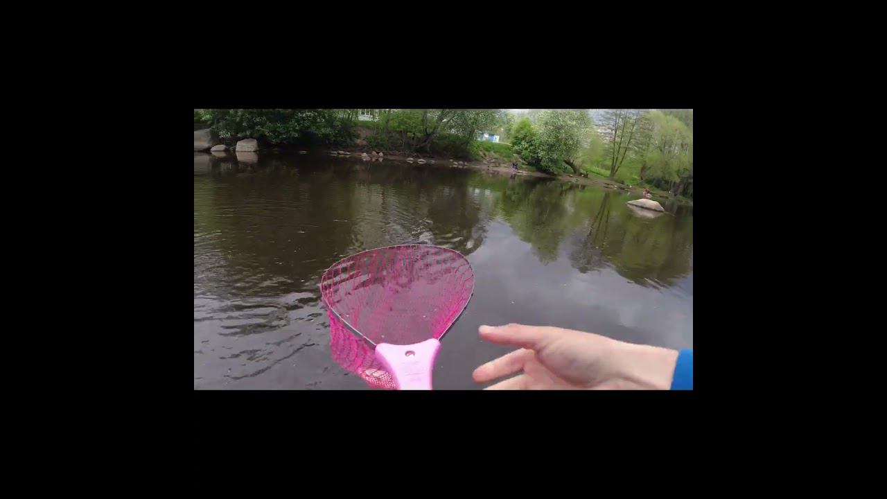 Плотва на микро колебло смотреть онлайн