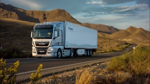 фура и её достоинства и не достатки #фура