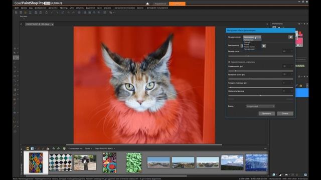 Новые возможности фоторедактора PaintShop Pro 2020