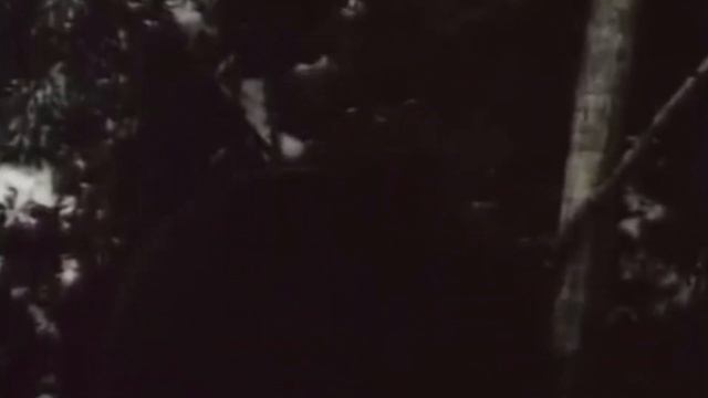 Николай Лесков "Зверь": рассказ смотреть онлайн