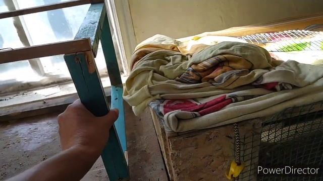 давать ли курам премикс? ??// клетка БЕСПЛАТНО для перепелов своими руками village life vlog смотреть онлайн