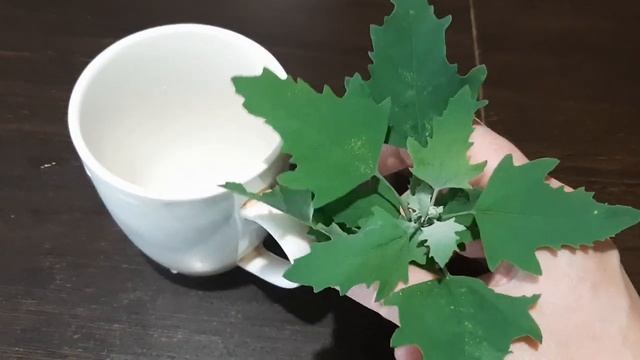 ЛЕБЕДОЙ ОЧИСТИМ КРОВЬ смотреть онлайн