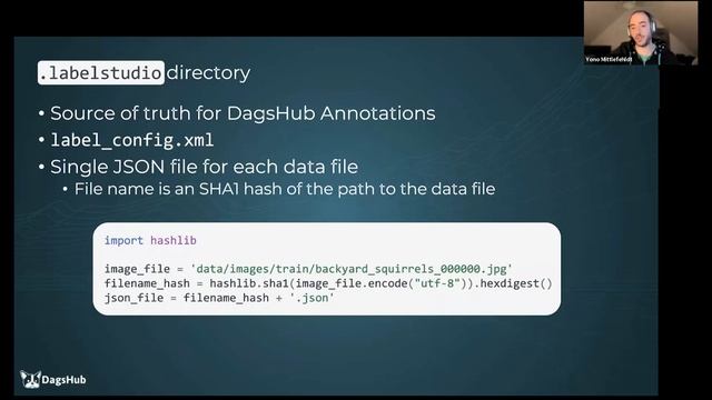 DagsHub integration with Label Studio - Demo смотреть онлайн