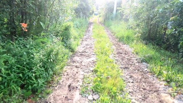 ПОКУПКИ на РАСПРОДАЖЕ. Окрестности ЗАБРОШЕННОЙ ДАЧИ. КОПЧЕНИЕ СКУМБРИИ смотреть онлайн