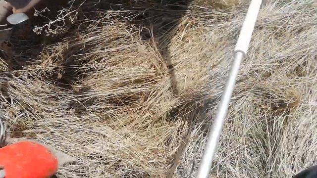 Металлоискатель пират первый коп смотреть онлайн