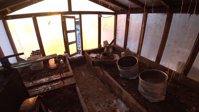 Два старых СЕРУНА и молодые серунишки! Бизнес сбор Серы! Живица лиственницы!Не металокоп! смотреть онлайн