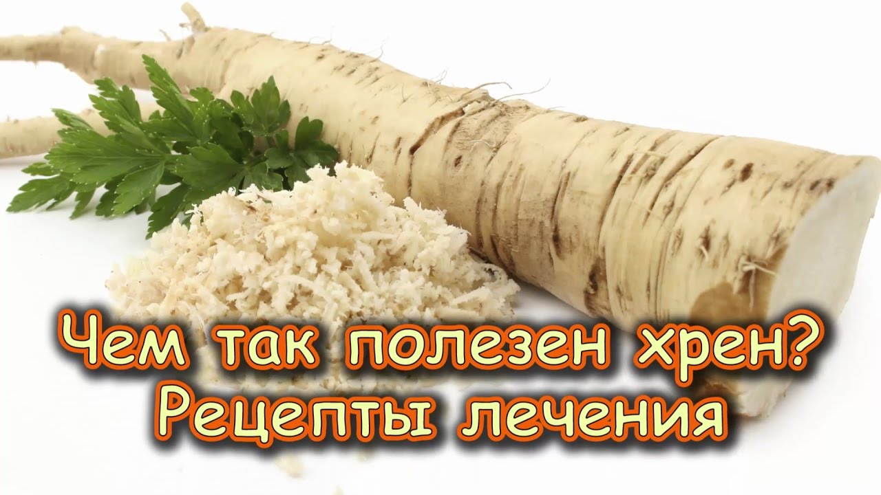 Сила хрена ! посадка! рецепты!.mp4 смотреть онлайн