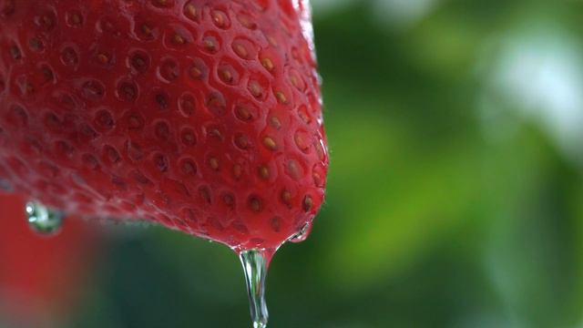 Best Of Dolby Vision 12K HDR 60FPS
