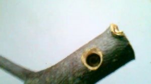 Трубки для курения как сделать