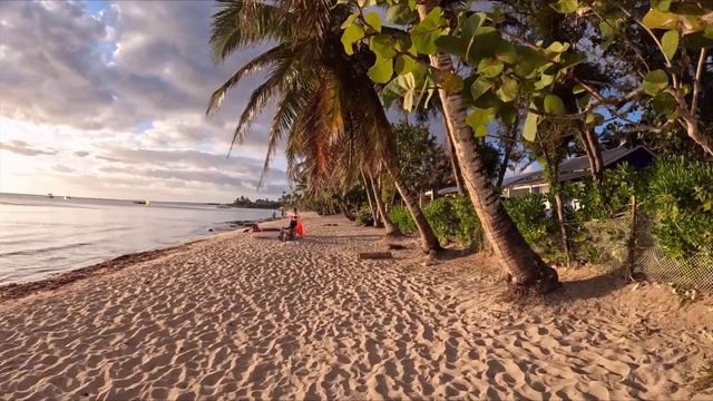Bayahibe ?? Dominican Republic | Walking Tour смотреть онлайн