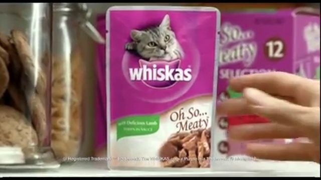 Whiskas Cat Food 2010 Ad смотреть онлайн