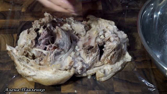 Животные в Зоопарках