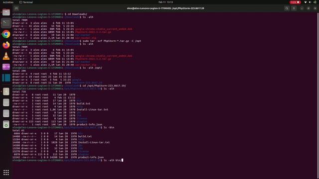 PhpStorm Install on Ubuntu 22 смотреть онлайн