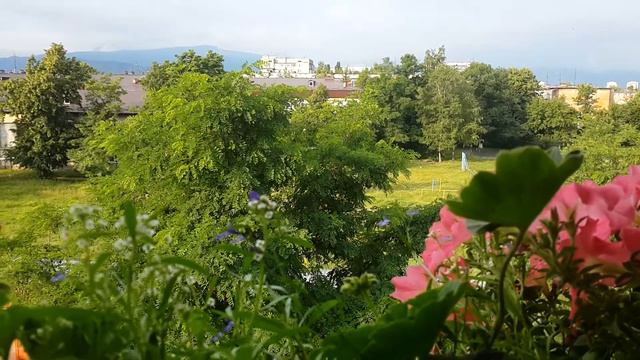 Секреты Осознанных снов. Агафья Петровна. 29.06.2021 г. смотреть онлайн