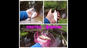 #484 #Мормышинг | Микроречка | Плотва-форель |