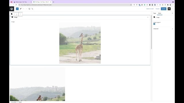 Webp Image with Lazy block and Wordpress смотреть онлайн