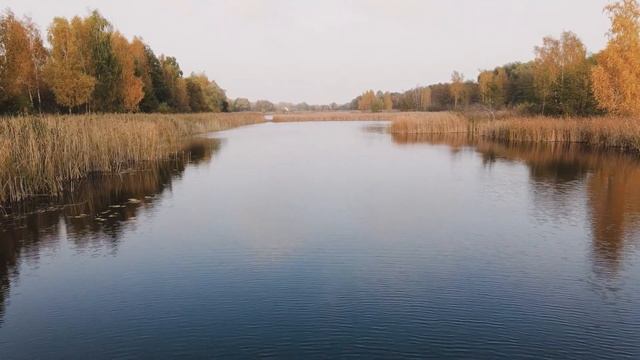 Тесто из геркулеса для рыбалки. Лови по Холодной Воде всю Осень Карася Карпа Леща. смотреть онлайн