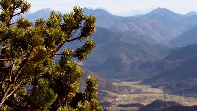 GO! ADVENTURE! Путешествие в Баварские Альпы. смотреть онлайн
