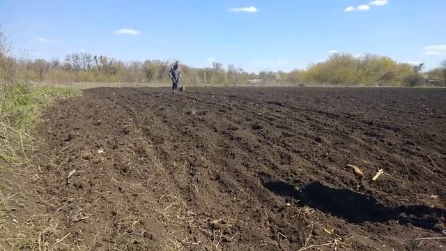 Посадка кукурузы ручной сеялкой смотреть онлайн