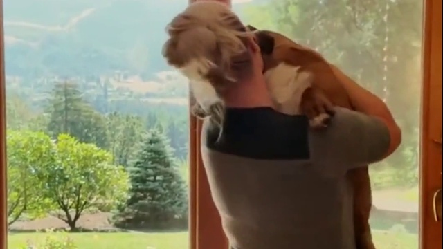 Собака - лучший друг смотреть онлайн